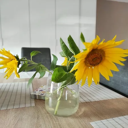 Vip Perla Slaska Apartament Pszczyna