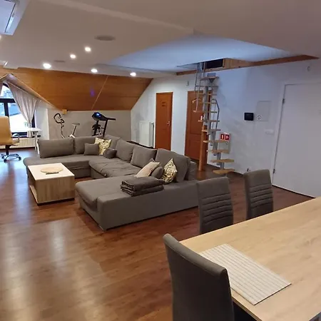 Apartament Vip Perla Slaska *